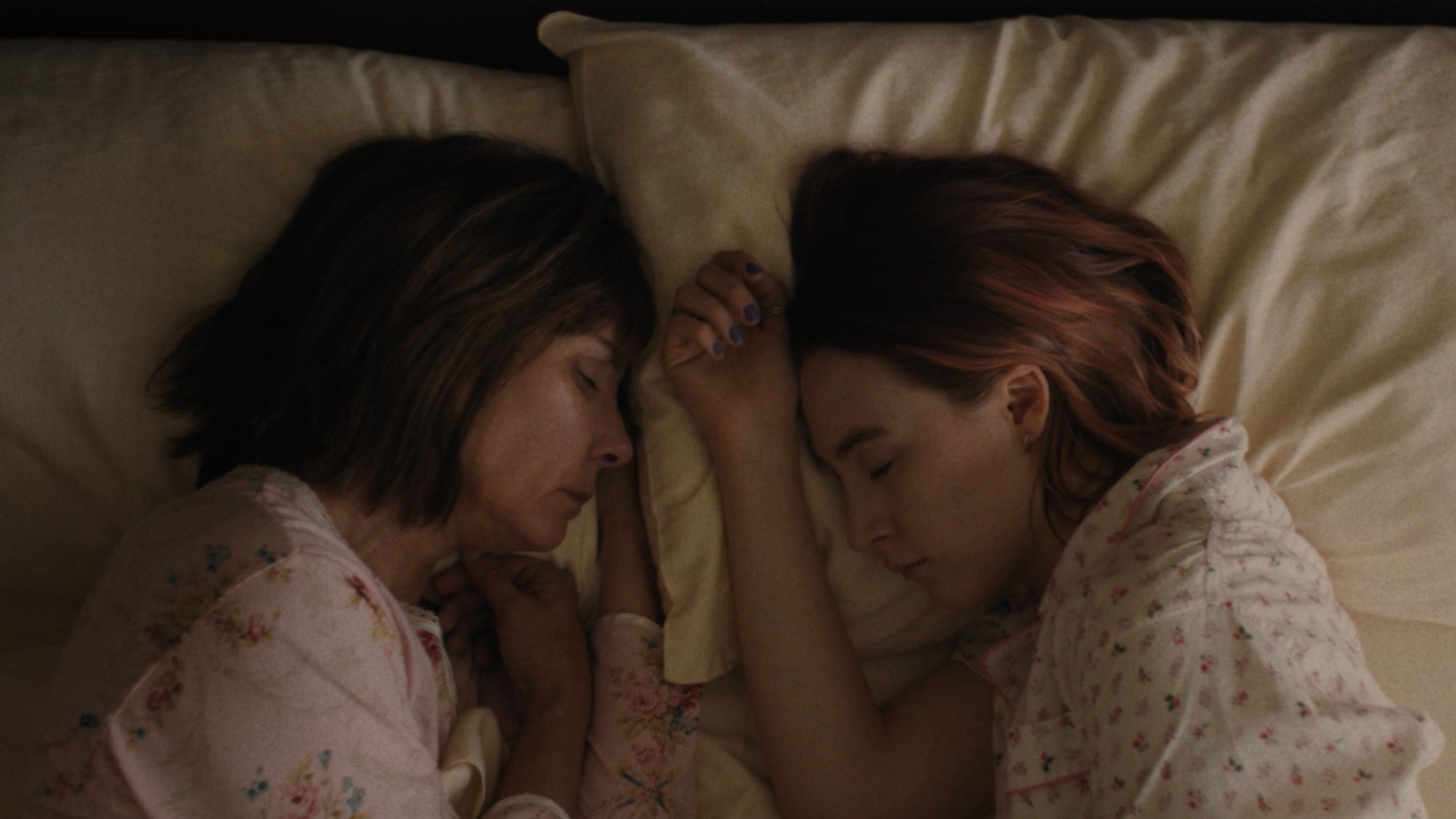دانلود فیلم لیدی برد Lady Bird 2017