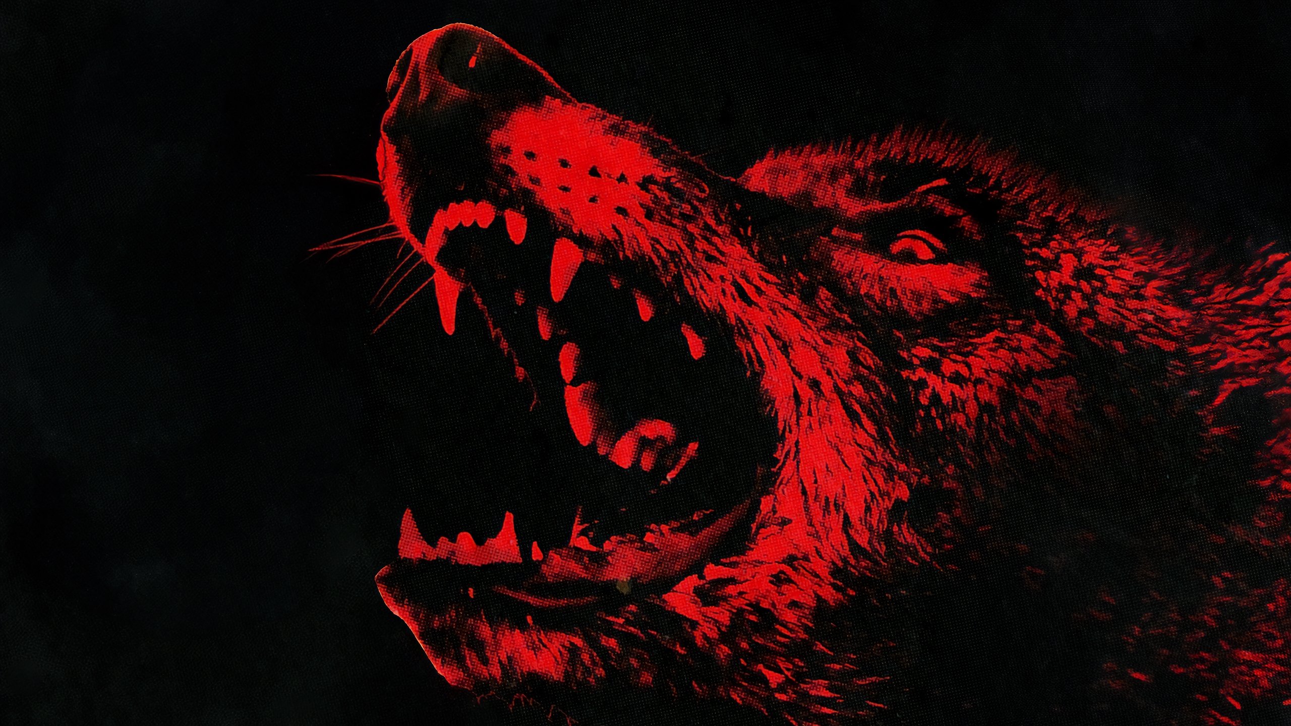 دانلود فیلم کایوت‌ها Coyotes 2025