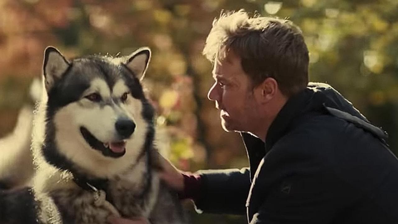 دانلود فیلم سگ قهرمان سفر به خانه Hero Dog: The Journey Home 2021